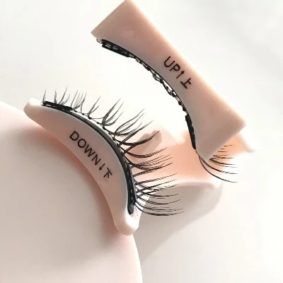 IMG3552 IMG3552
